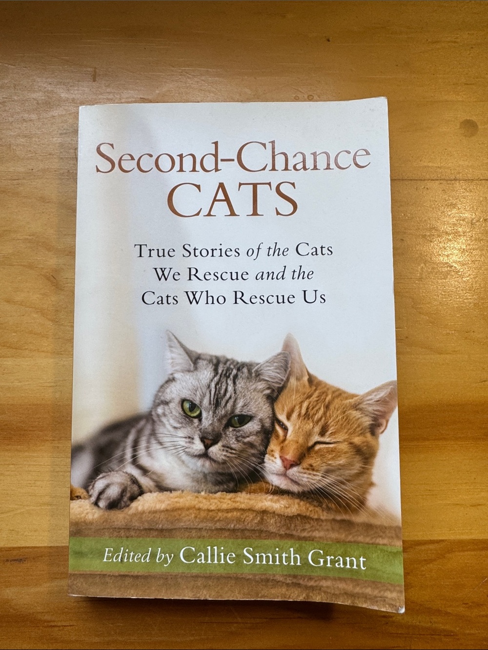 🌈2/$8  Second Chance Cats: True Stories of the Cats We Rescue and the Cats…